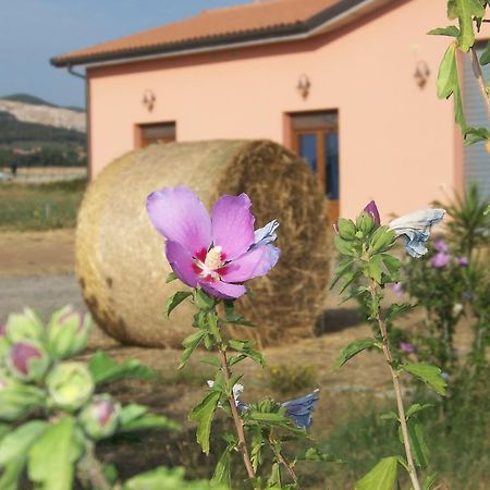 Agriturismo La Nocciolina 宛图里那 外观 照片