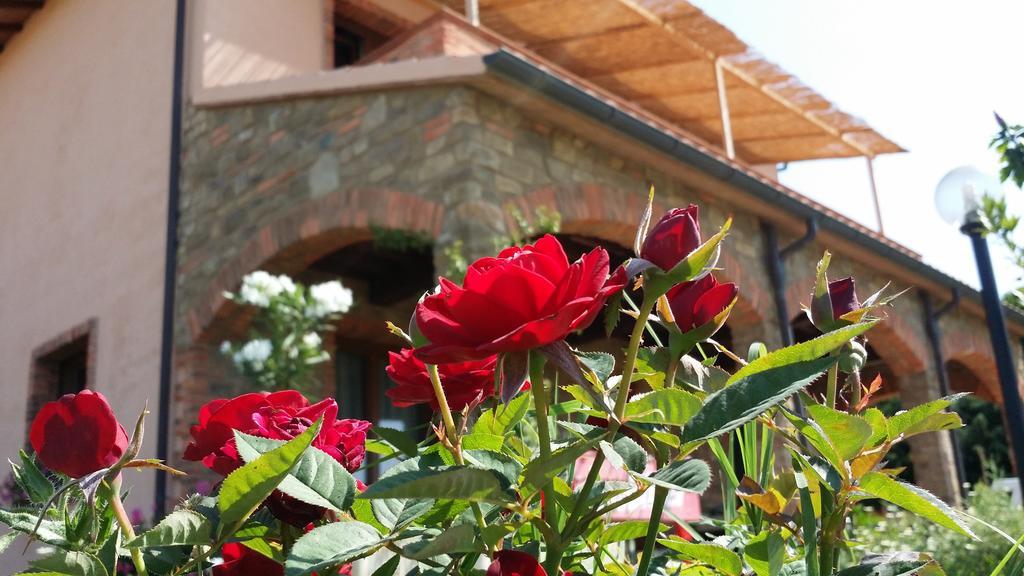 Agriturismo La Nocciolina 宛图里那 外观 照片