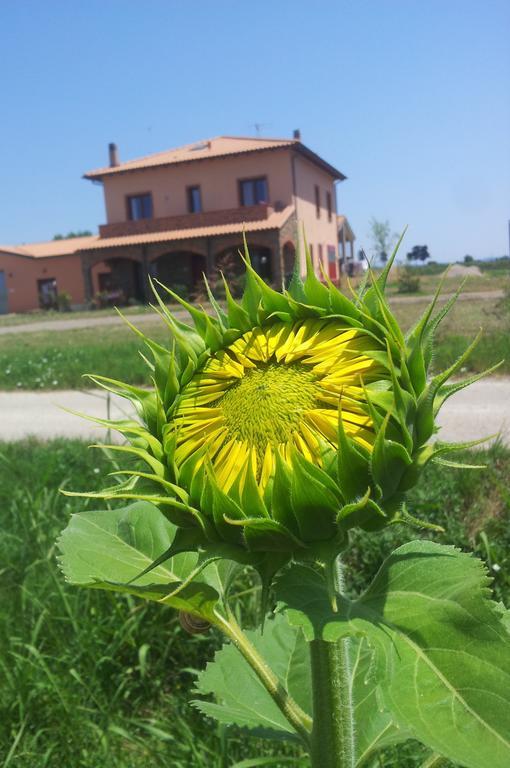 Agriturismo La Nocciolina 宛图里那 外观 照片