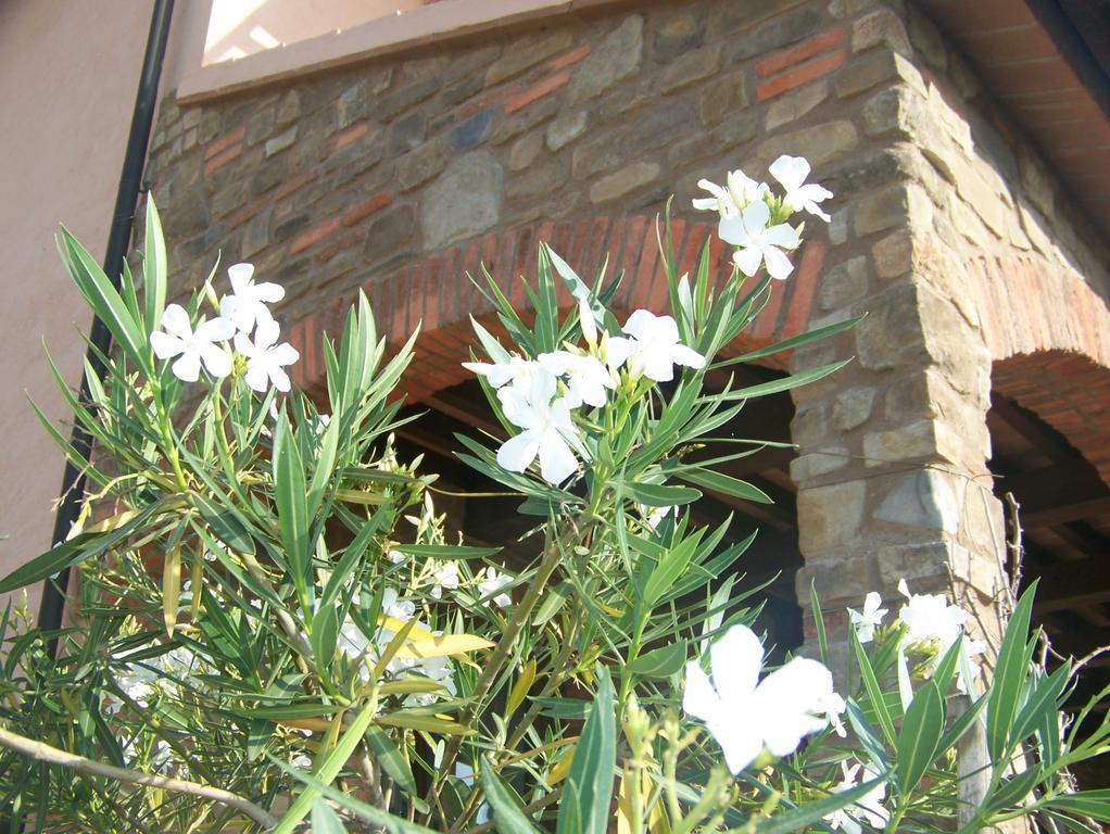 Agriturismo La Nocciolina 宛图里那 外观 照片