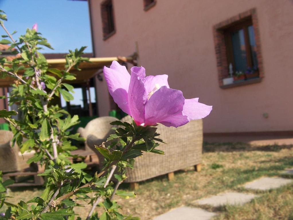 Agriturismo La Nocciolina 宛图里那 外观 照片