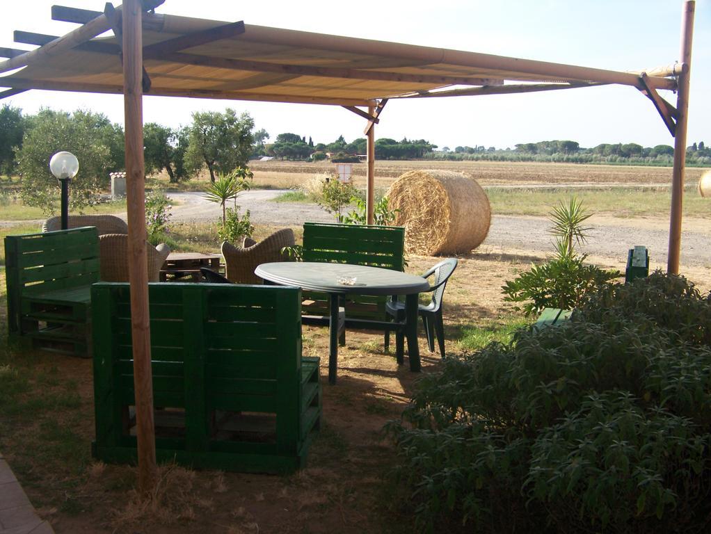 Agriturismo La Nocciolina 宛图里那 外观 照片